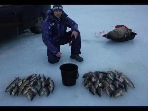 как ловить щуку на червя как ловить щуку на червя
