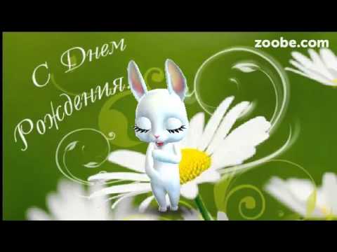Поздравления с днем рождения на ютубе зайка Поздравления с днем рождения на ютубе зайка