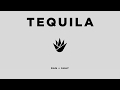 Dan + Shay - Tequila (Icon Video)