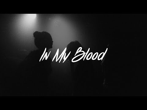 Download Shawn Mendes - In My Blood Lyrics (Acoustic) free