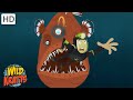 Anglerfish, Sharks, Seahorses + more | Fascinating Fish [Full Episodes] Wild Kratts