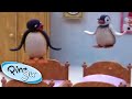 Pingu & Pinga's Sleepover Fun! | Pingu Official | Cartoons for Kids