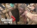 8 found alive after flooding of Zimbabwe mine