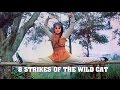 Wu Tang Collection - Eight Strikes Of The Wild Cat