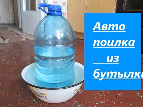 Кормушки для цыплят бройлеров из пластиковых бутылок Кормушки для цыплят бройлеров из пластиковых бутылок