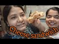 Pura Market Style re Banelu poda 😹Paneer Cheesy Sandwhich & fun with my dog💁#funny #familyvlog