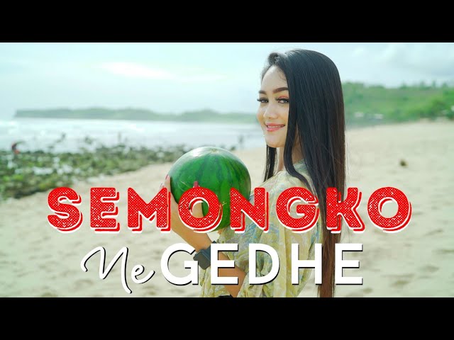 Safira Inema - Dj Semongkone Gedhe ( ANEKA SAFARI) Tarik Sis Semongko Safira Inema - Dj Semongkone Gedhe ( ANEKA SAFARI) Tarik Sis Semongko