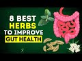 8 Best Herbs To Improve Gut Health