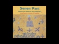 Senen Pani - Ayahuasca Healing Songs - Cantos de sanación del ayahuasca [FULL ALBUM]