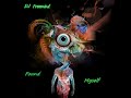 Found Myself Remastered Visual Version- DJ Freemind #goa #music #producer #psytrance