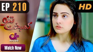 Drama | Kambakht Tanno - Episode 210 | Aplus ᴴᴰ Dramas | Shabbir Jaan, Tanvir Jamal, Sadaf Ashaan