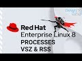 Linux Processes Memory Management - VSZ & RSS