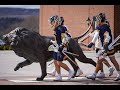 Trinity Pawling vs Taft School Varsity Lacrosse Highlights