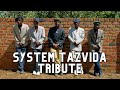 Why Did All Sungura Videos Look Like This 😅 | [System Tazvida Tribute Video]