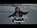 أغنية يا ليلي ويا ليلة + ديسباسيتو | Ya Lili + Despacito ( Official 🔥 Video )