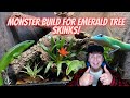 Monster Tank Build! How To Build A Custom Background/Emerald Tree Skink Tank!