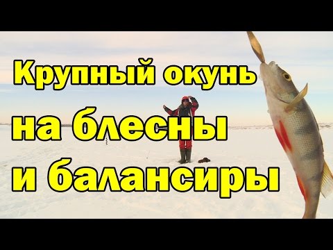 ловля на крупную вертушку ловля на крупную вертушку