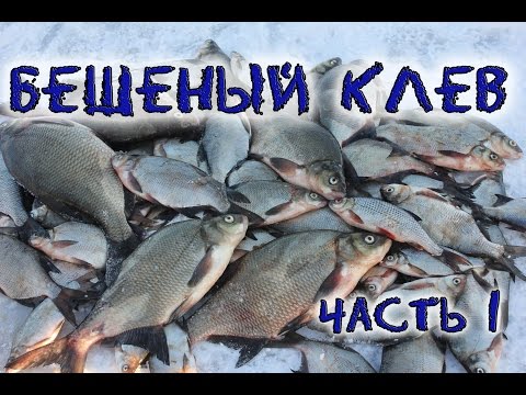 ветер для рыбалки на леща ветер для рыбалки на леща