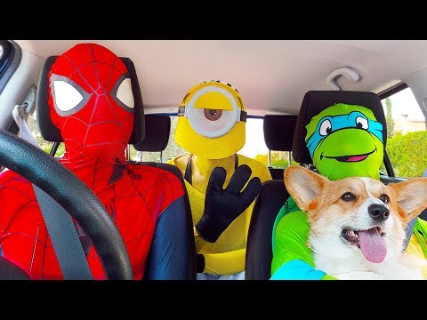 Superheroes Surprise Happy Dog With Dancing Car Ride