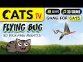 CAT TV - 3D flying bug 🙀 Praying Mantis 🪲 Best game for CATS 😻📺 [4K]