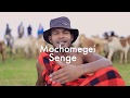 MACHOMEGEI SENGE OFFICIAL SONG FOR WILLIAM RUTO ( Skiza dial *837*392#)
