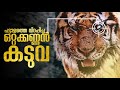 The Tiger🐯: An Old Hunter's Tale  Malayalam Explanation | Korean | Inside a Movie