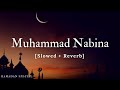 Muhammad Nabina [Ramadan Special] Hamada Helal | Music Material | Textaudio