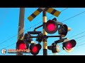 【Train】Railroad crossing movie64【A lot of interesting level crossings】 Mizuma Meitetsu Keihan Kyozu