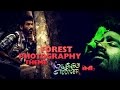 Forest Photography Theme | Mayakkam Enna | IndianMovieBGMs