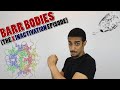 Barr bodies formation (X inactivation) - شرح بالعربي