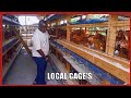 Local Cages - Dar es salaam || Ufugaji wa kuku 2000 Bunju. UFUGA KISASA KWENYE ENEO DOGO