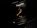Tayyaba Name Meaning In Urdu | Tayyaba Naam Ka Matlab | The Name Info