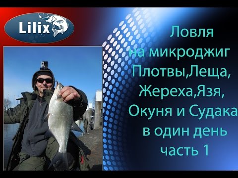 ловля леща на микроджиг ловля леща на микроджиг