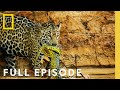 Jungles: Survival of the Fittest (Full Episode) | Hostile Planet