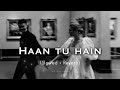 Haan Tu Hain (Slowed + Reverb) K.K. | Am.sarxesh