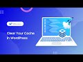 How To Clear WordPress Cache: 3 Easy Ways