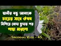 Plants & Flower review || Black honey shrub || Water hyacinth || vlog- 45 || Srilekhas Vlog