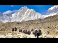 Land of the SHERPAS- Walking under Mount Everest 4K- Mount Everest Base Camp Trek | Full Documentary