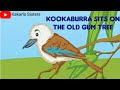 Kookaburra Sits On the Old Gum Tree Rhyme |Nursery Rhymes |Action Songs/Rhymes |Pre Primary Rhymes |