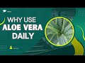 Unlocking the Secrets: 7 Amazing Health Benefits of Aloe Vera