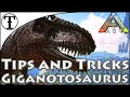 Fast Giganotosaurus Taming Guide :: Ark : Survival Evolved Tips and Tricks