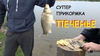 как ловить карася в июне на фидер как ловить карася в июне на фидер