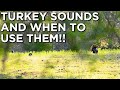 What SOUNDS Do Turkeys Make?! | How To CREATE AND USE Turkey Vocalizations!