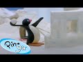 Pingu in the Snow 🐧 | Pingu - Official Channel | Cartoons For Kids