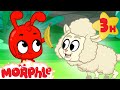 Morphle and the Sheep who LOVES Bananas! 🍌| Morphle's Family | My Magic Pet Morphle | Kids Cartoons