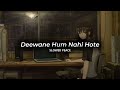 Deewane Hum Nahi Hote (Perfect Slowed) | Reverb (Bonus)