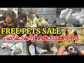 📌Free Pets Sale Kerala🤩Dogs❤️Pigeon💥Birds💝Hen🤗Pets and Birds Sale Kerala🤗Pravu Valarthal💫Birds Farm