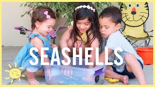 PLAY | 3 Ocean/Seashell Activities