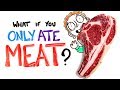 Download What If You Only Ate Meat? mp4 3gp mp3 videos - waplic