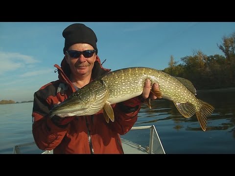 джиг спиннинг видео к кузьмин джиг спиннинг видео к кузьмин